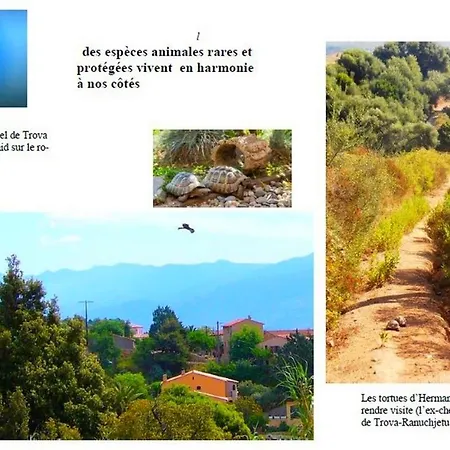 Maison Charmante A Avec Vue Sur Et Dom wakacyjny